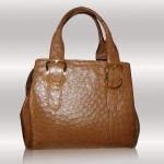 Ostrich leather tote