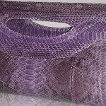 Python skin: violet color